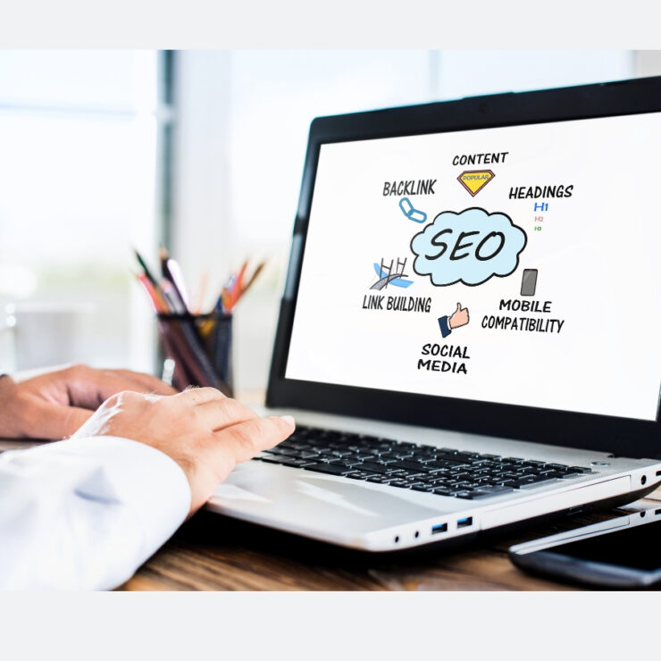 Best SEO Expert Freelancer in Ludhiana