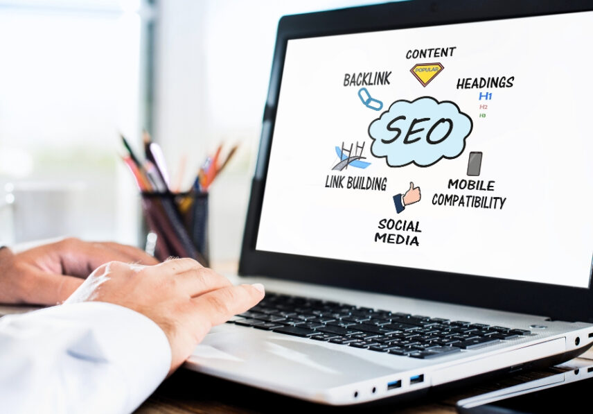 Best SEO Expert Freelancer in Ludhiana